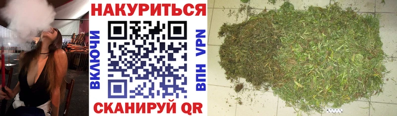 Бошки Шишки гибрид  Новоаннинский 